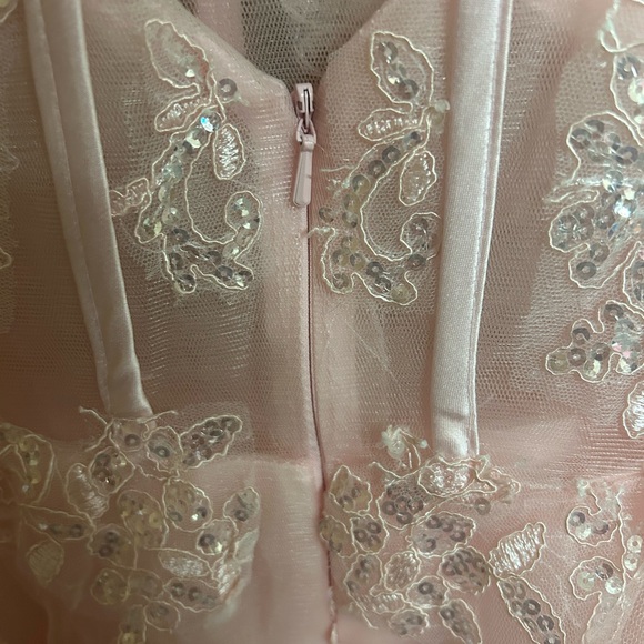 Pink Corset Lace Dress - Picture 4 of 5